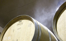 bodegas