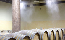 bodegas