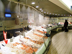 perscadosymariscos